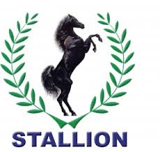 Stallion